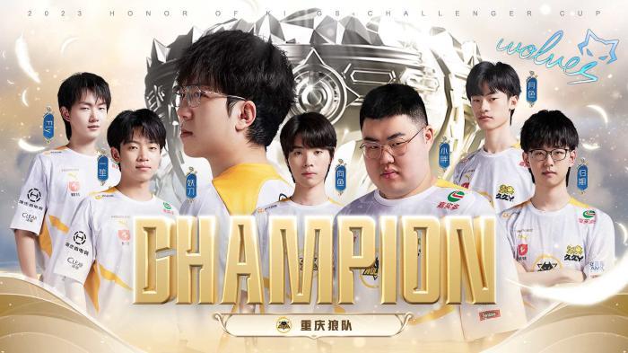 组织和推广