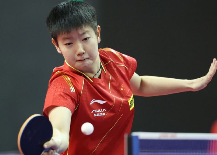 参赛球队将 参赛球队将